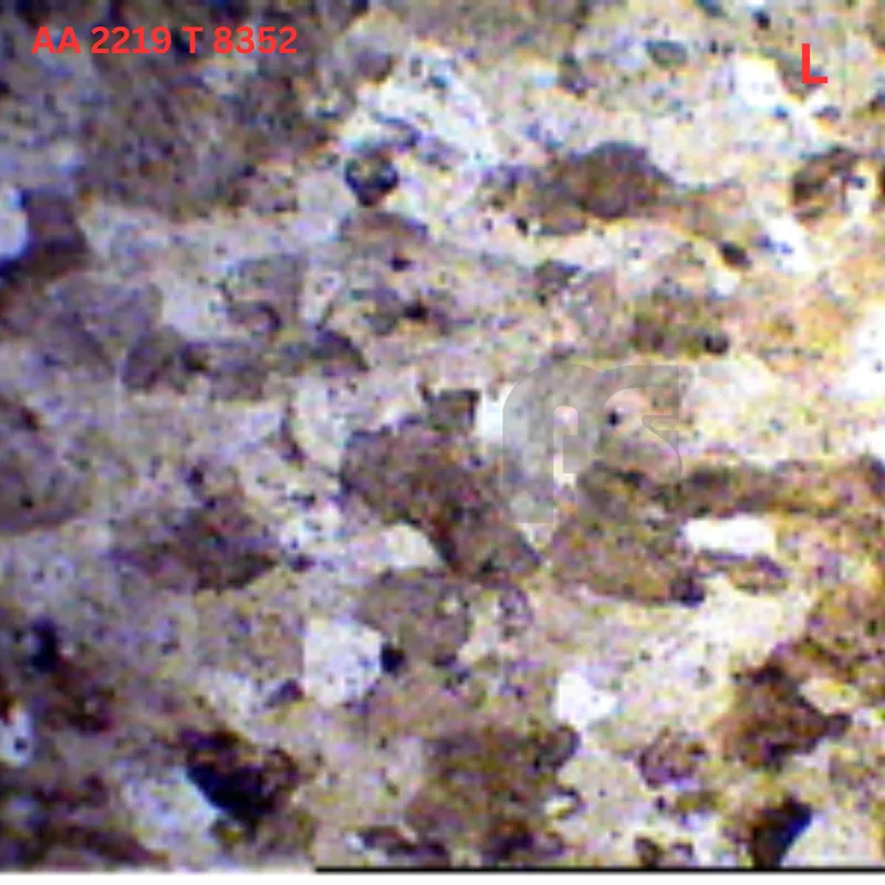 Aluminium alloy AA 2219 T 8352 open die forging Hyderabad India